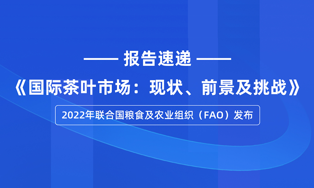 环球观茶丨联合国粮农组织：《国际茶叶市场：现状、前景及挑战》(下篇)