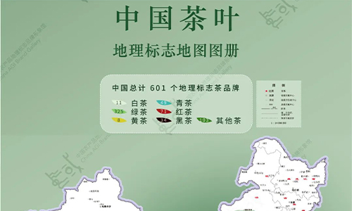 您有一份“2023年春茶调研邀请函”请查收