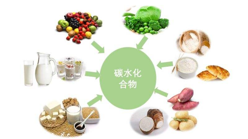营养科普 | 带您了解人体必需营养素——碳水化合物