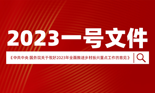 2023年中央一号文件发布，对茶产业带来了哪些启示？