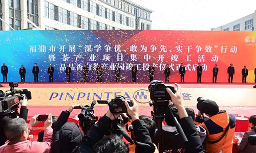 刘仲华院士：福鼎白茶发展七大锦囊