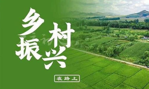 6个涉茶案例入选！第一批全国“一县一品”特色文化艺术典型案例名单公示