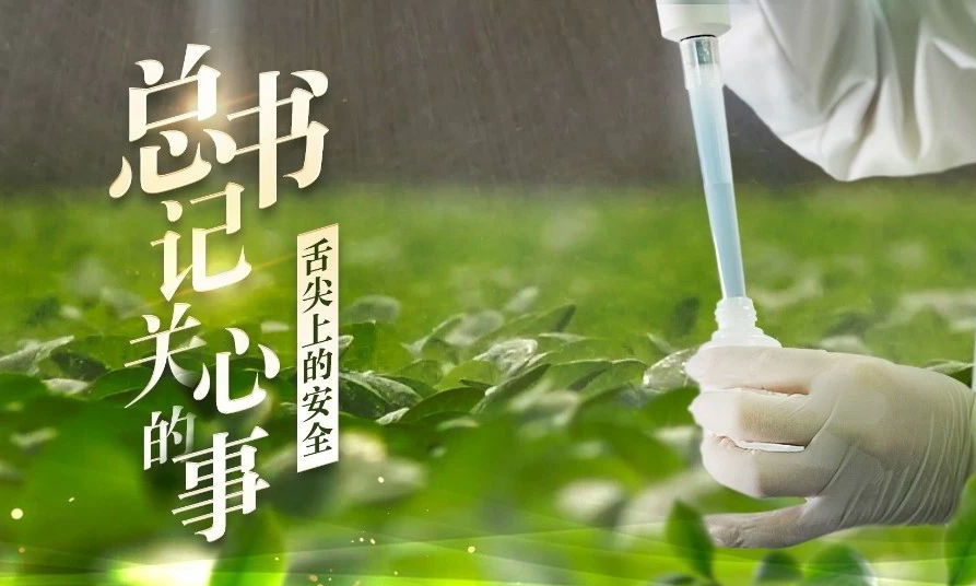 总书记关心的事丨舌尖上的安全