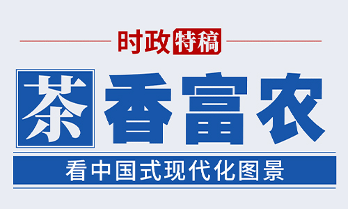 看中国式现代化图景：茶香富农