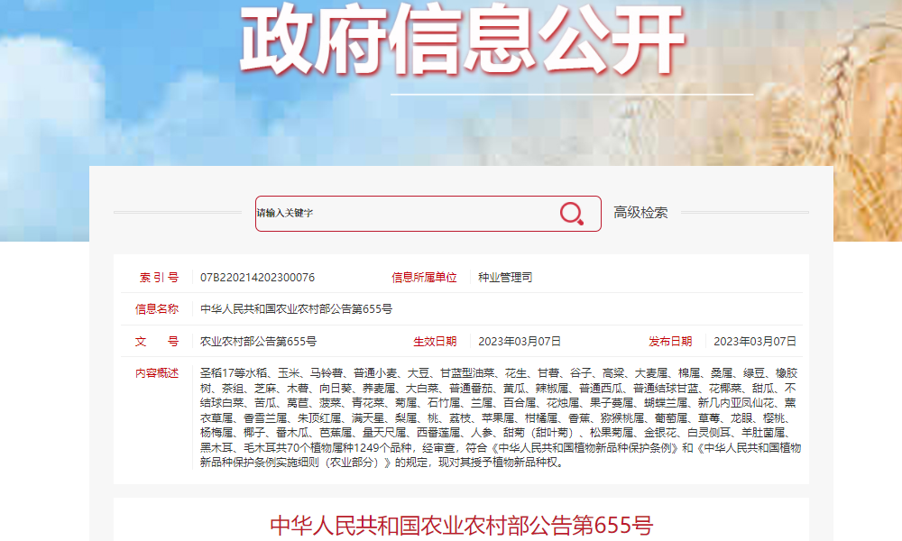 农业农村部第655号公告：17个茶树新品种被授予植物新品种权