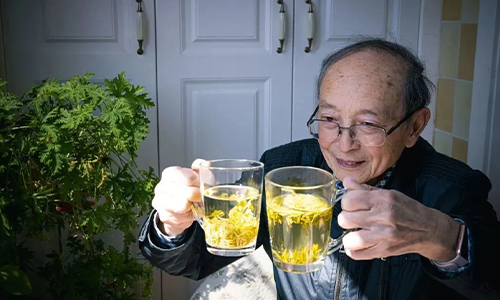 沙画视频：“茶教授”26年千里奔走教种茶