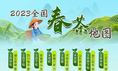 2023全国春茶地图出炉，正是春游采茶好时节！