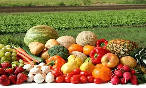 食用农产品及茶叶将限制过度包装，强制标准正在制定中