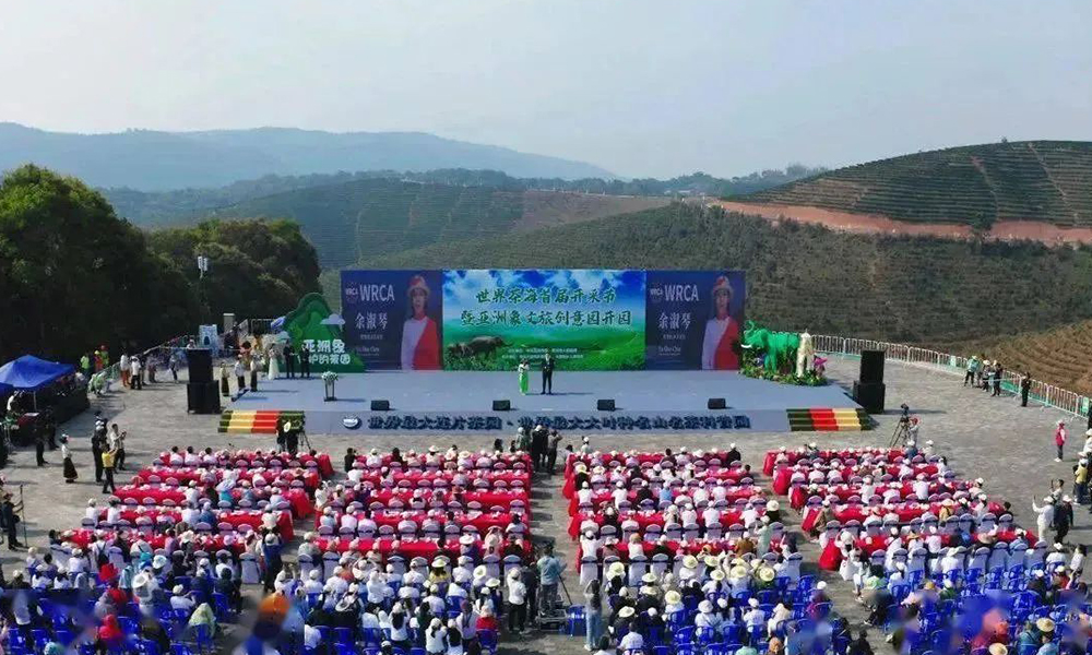 云南景洪世界茶海首届“开采节”暨亚洲象文旅创意园开园