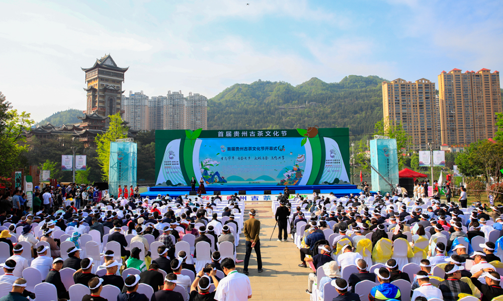 首届贵州古茶文化节今日在毕节市七星关区开幕，翟虎渠会长出席并致辞