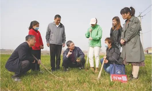 富硒产业，也是富民产业——关于淄博市淄川区寨里镇发展“一镇一业”特色产业的访谈