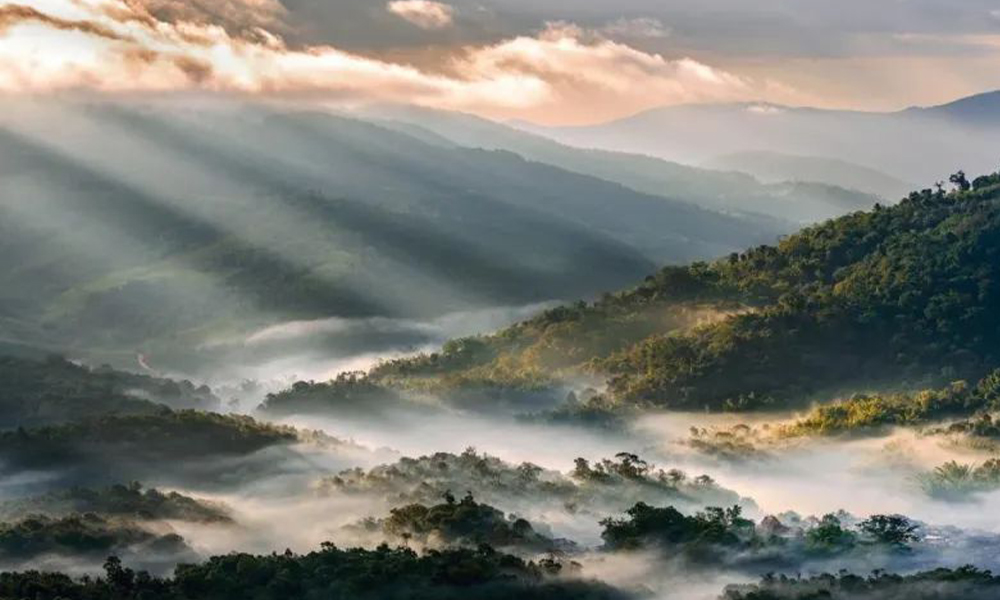 多彩茶乡丨云南勐海：来古茶山一起追溯属于普洱的传奇记忆