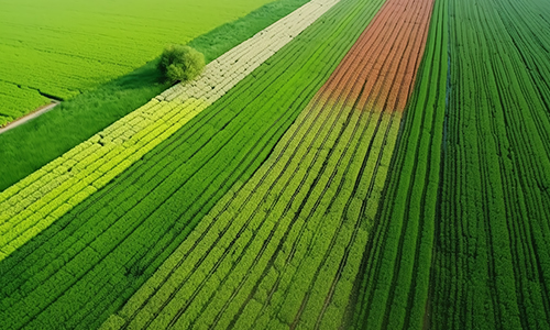 我国第一部现代设施农业建设规划：《全国现代设施农业建设规划（2023—2030年）》发布实施