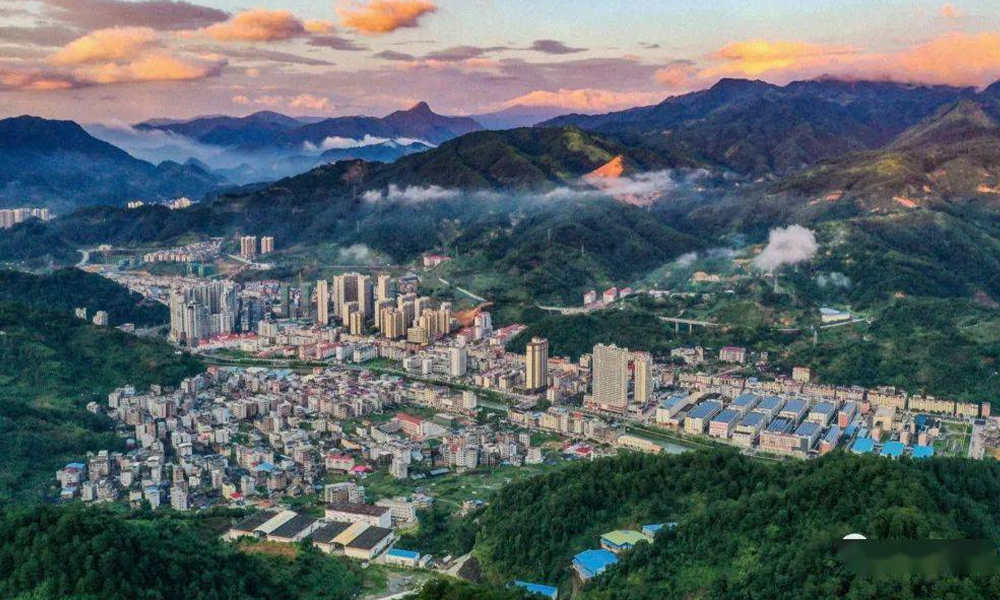 “大田美人茶”品牌宣传口号征集启动，等您来参与~