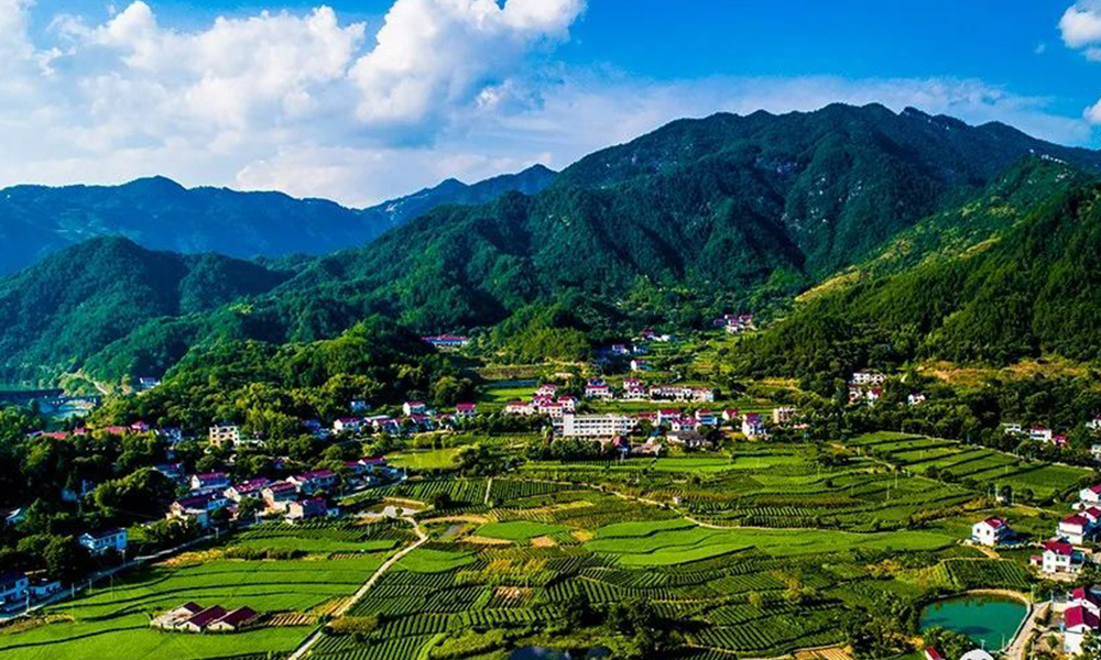 多彩茶乡丨安徽岳西：红色岳西，云上茶乡