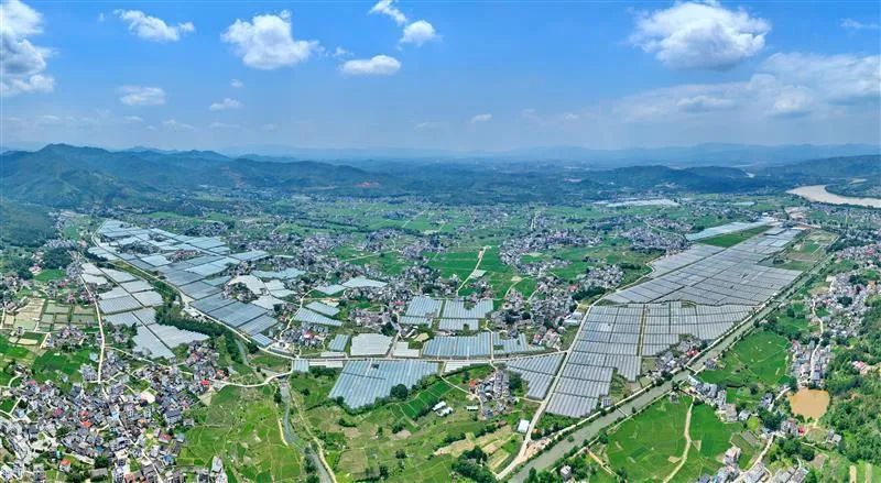 江西日报聚焦：“硒”望之路——江西赣州推进富硒产业发展调查