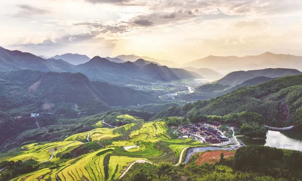 农民日报：福建政和县“茶叶+”模式发展茶叶新业态—一片叶子的延展