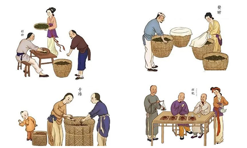 香港CEPA“红茶”原产地标准最新修订！