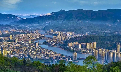 守匠心 拓眼界，“三茶统筹”推动雅茶声名远播