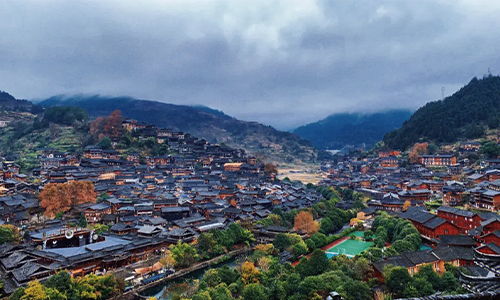 贵州雷山实施“贵州绿茶”地标保护工程推动茶产业发展