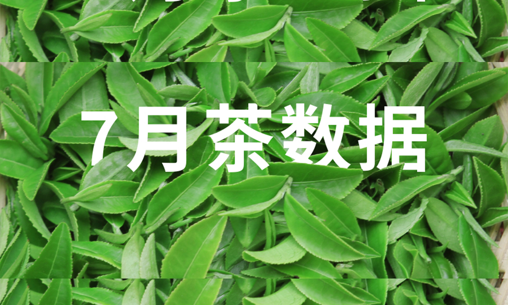 数据丨2023年7月中国茶叶进出口数据
