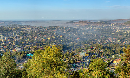 环球观茶丨埃塞俄比亚咖啡、茶叶和香料出口创收3.56亿美元