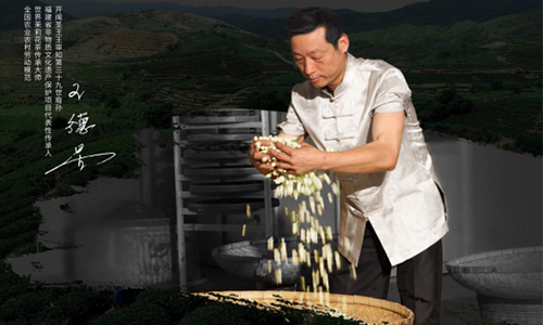 全国唯一！拿下联合国大奖的这座宝藏城市，馥郁着茉莉芬芳