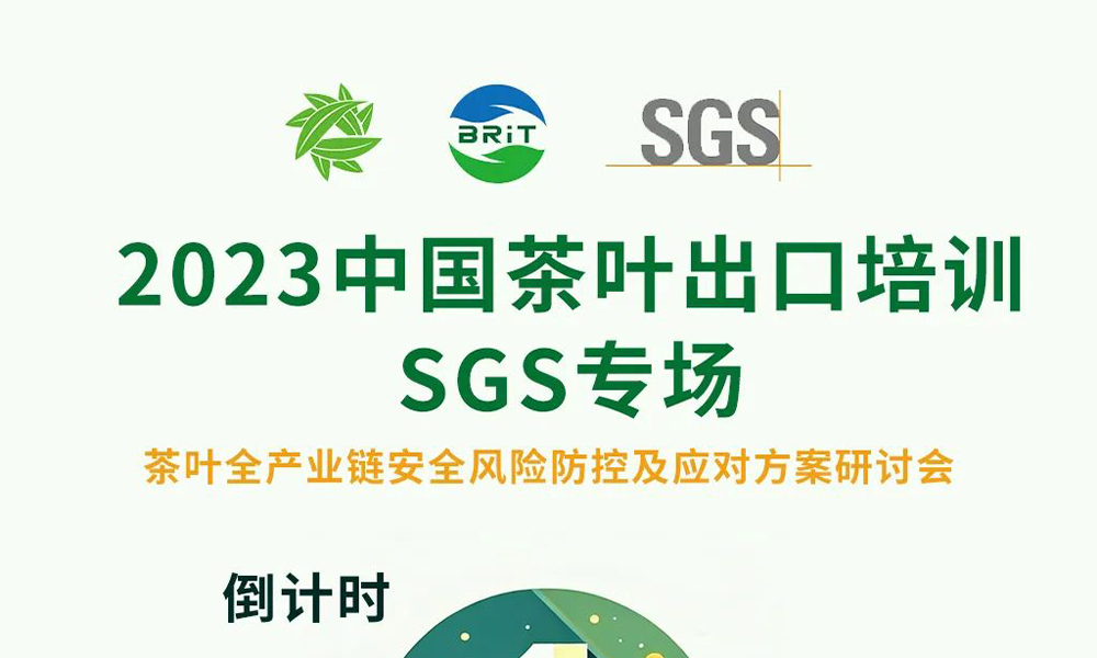 2023中国茶叶出海培训——SGS专场明日开启！详细流程安排请知晓