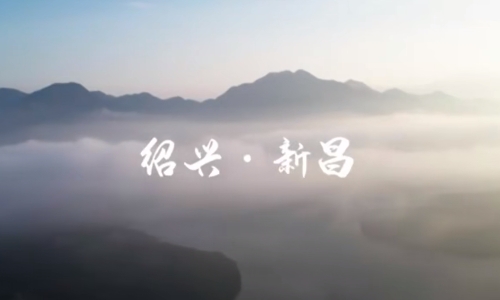 浙江新昌：多措并举赋能茶产业