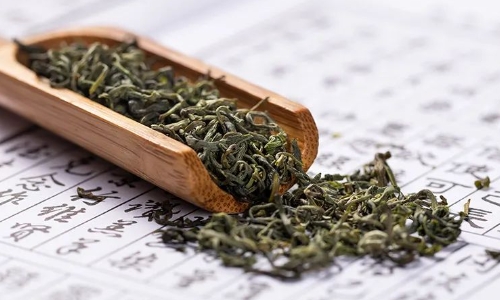 “金叶子”拓宽致富路——江苏吴中做大做强碧螺春茶产业