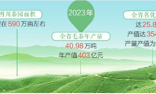 再创新高！川茶年产值连续3年突破千亿元大关