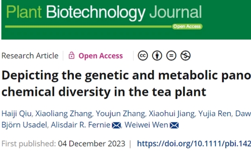 华中农业大学茶学团队发布茶树化学多样性的遗传和代谢全景图