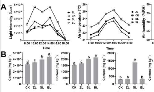 福建农林大学郭玉琼教授团队：小白茶林下种植新模式