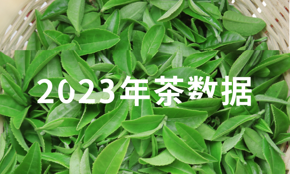 数据丨2023年度中国茶叶进出口数据发布，出口量额齐减