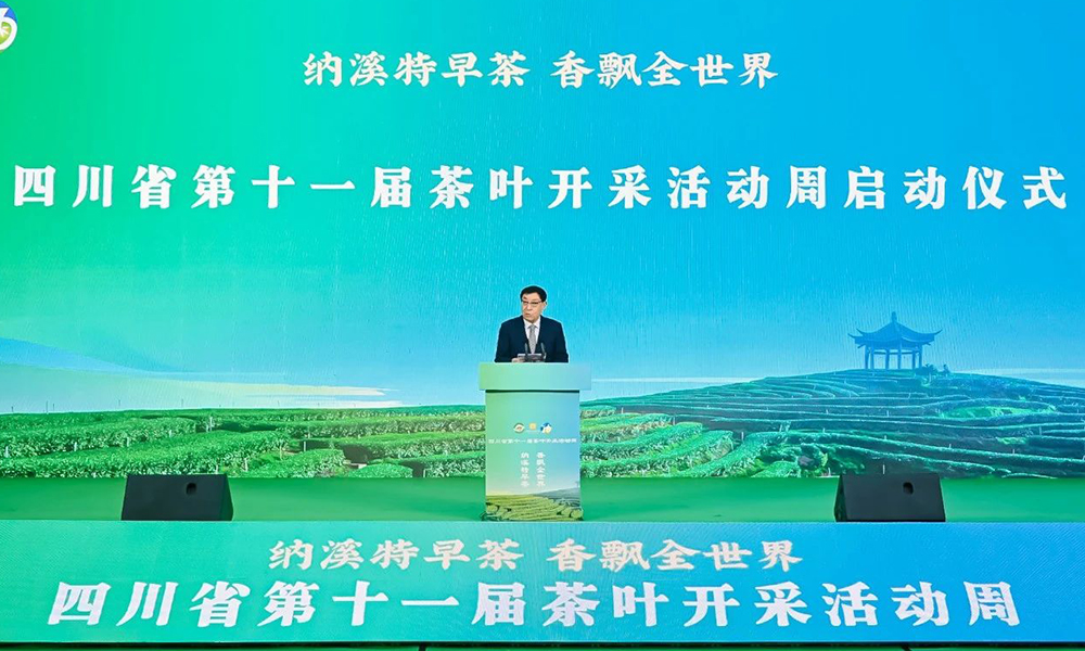 四川省第十一届茶叶开采活动周在泸州启动，刘桂才副会长出席并演讲