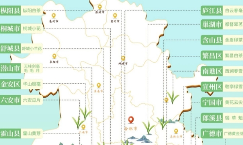 黄山毛峰核心产区本周开园！安徽春茶地图来了