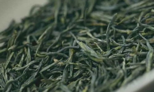 2024中国好绿茶品牌推介：“胜似玉露琼浆”——恩施玉露