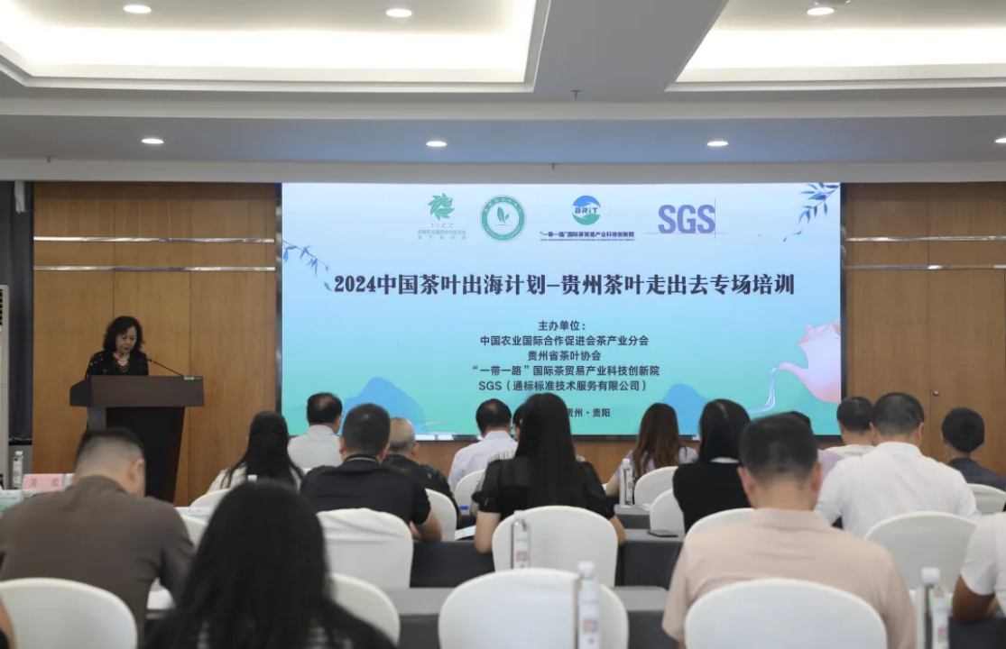 2024中国茶叶出海计划-贵州茶叶走出去专场培训举办 推动“干净黔茶”高质量出海