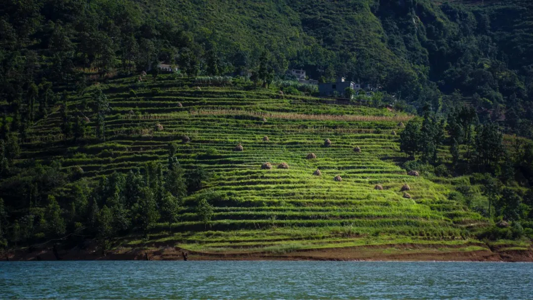 贵州水城：一城山色半城湖，来品一壶“水城春”