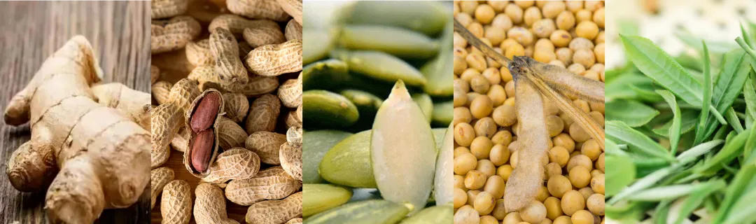 欧盟发布2025年有机产品认证额外控制措施