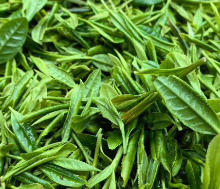 “一带一路”茶叶进出口报告｜2023年中国茶叶最大买家竟然是它？这篇报告解析中国与摩洛哥茶叶贸易概况