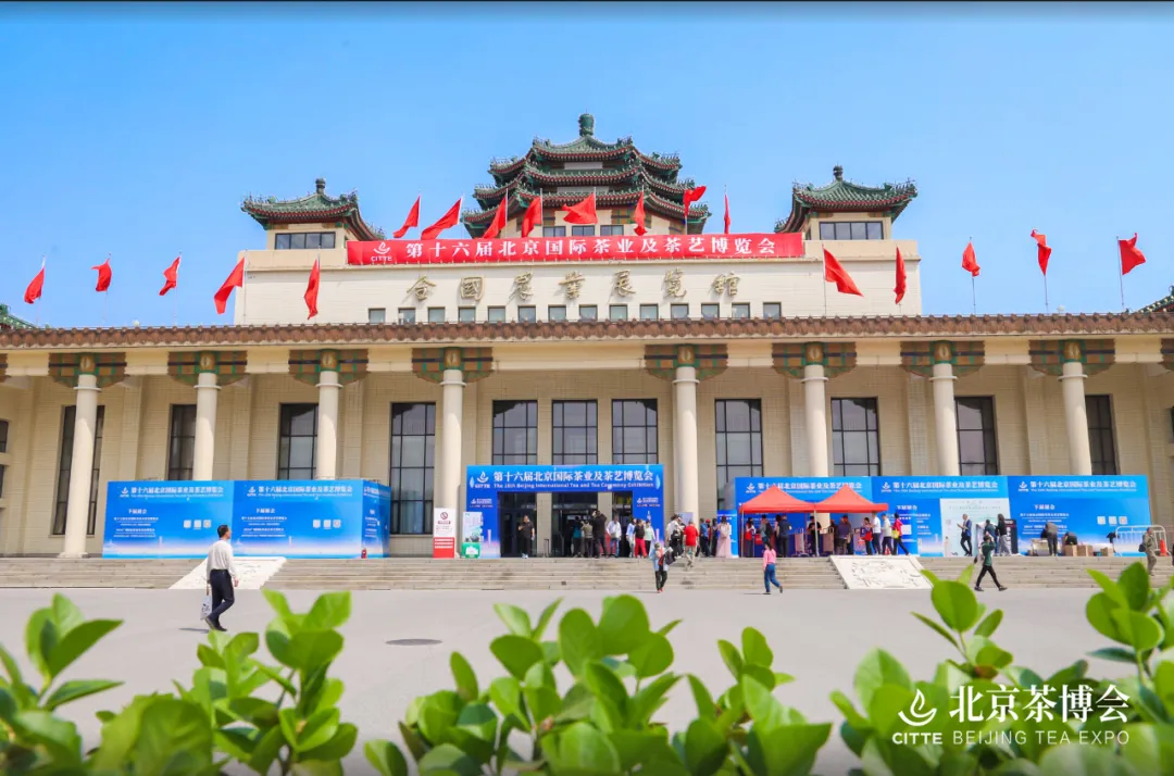 春茶赋新 精准对接——第十八届北京茶博会助茶企抢占市场高地