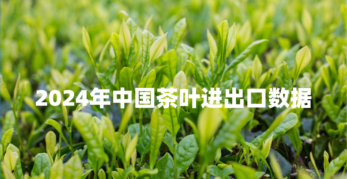 数据｜2024年中国茶叶进出口详情：绿茶仍是主力，非洲市场显著增长
