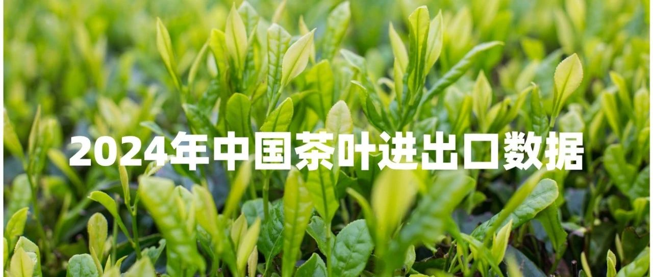 数据丨 2024年我国茶叶出口数据出炉：出口量微涨，出口额大跌18.39%