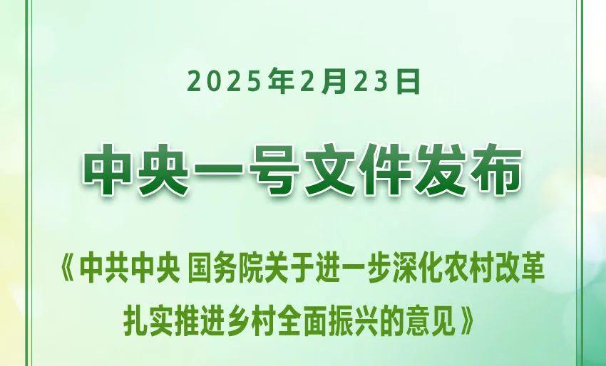 三分钟看懂2025年中央一号文件！