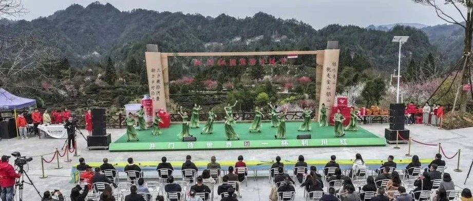 会员动态｜我会会员单位利川红产业集团有限公司春茶开采，现场成交328.5万元