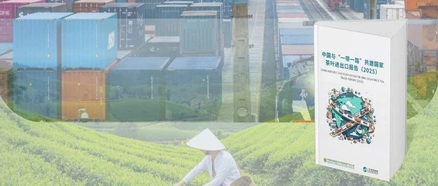 绿茶主导出口 红茶引领进口，2024年中国与“一带一路”共建国家贸易图谱抢先看