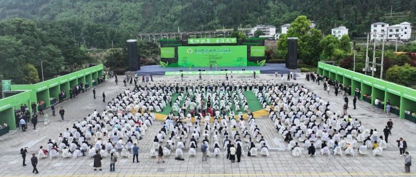 第六届茶业大会在贵州铜仁开幕，聚焦抹茶与茶产品多元化