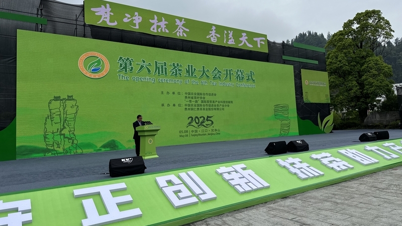2025 The 6th Tea Conference was held successfully