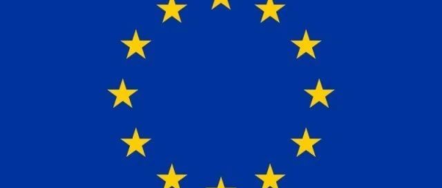 欧盟2025年5月1-31日不合格茶叶通报